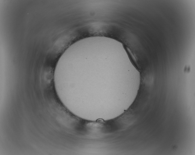 X0000112510133200909141208