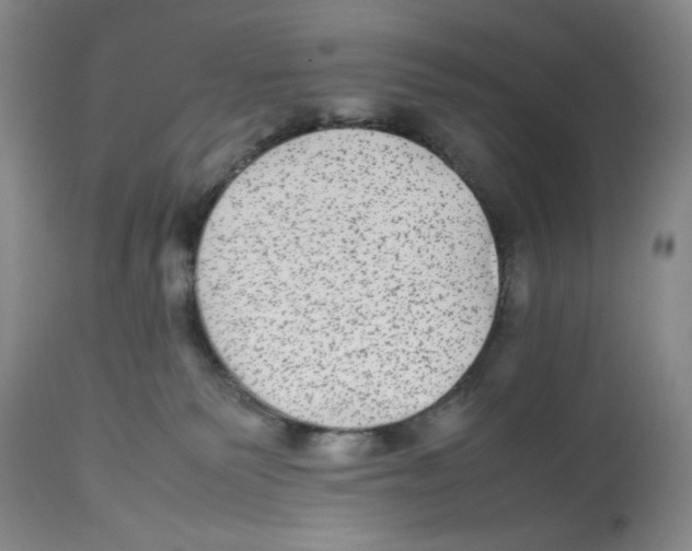 X0000112510135200909141208