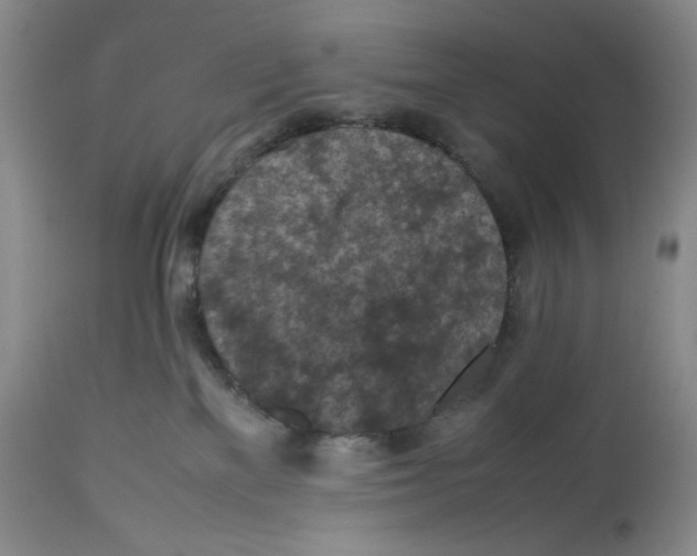 X0000112510137200909141208