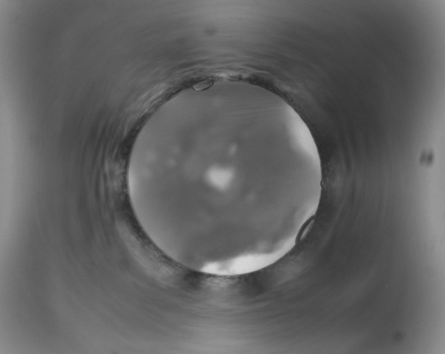 X0000112510139200909141208