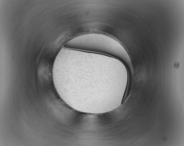 X0000112510140200909141208