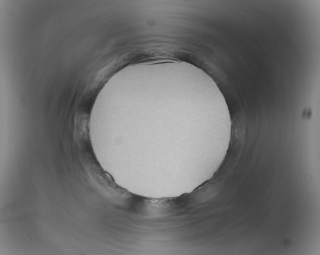 X0000112510141200909141208