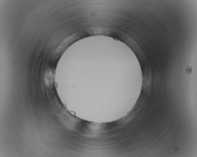 X0000112510142200909141208