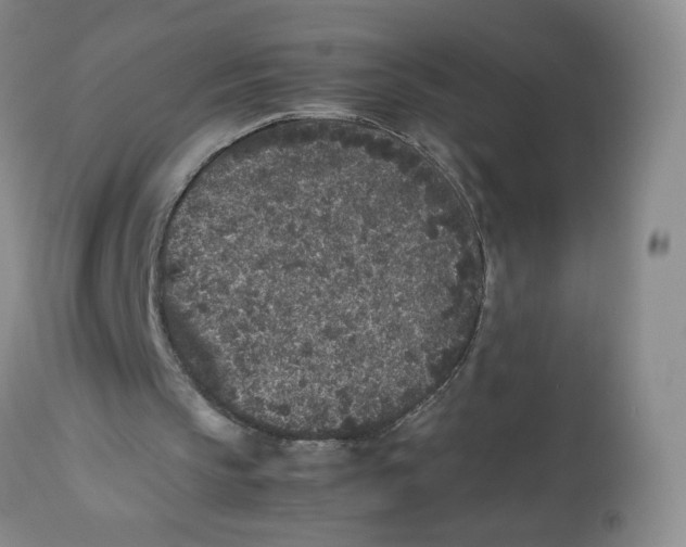 X0000112510145200909141207