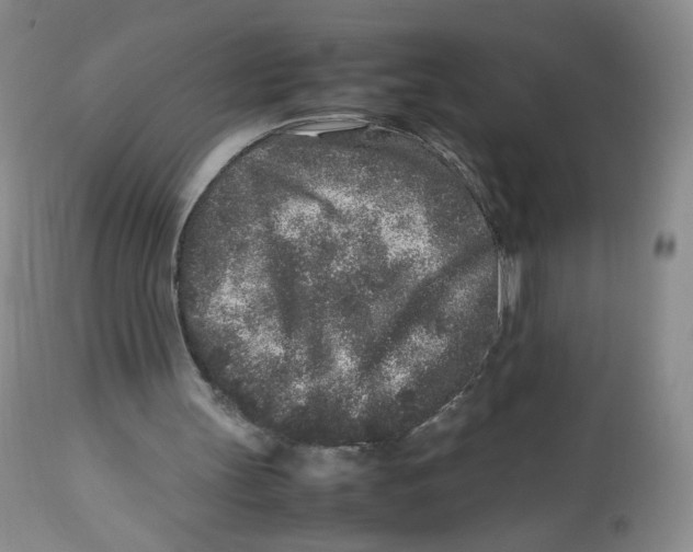 X0000112510147200909141207