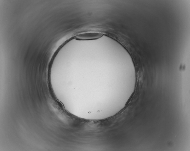 X0000112510148200909141207