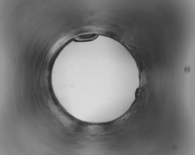 X0000112510150200909141207