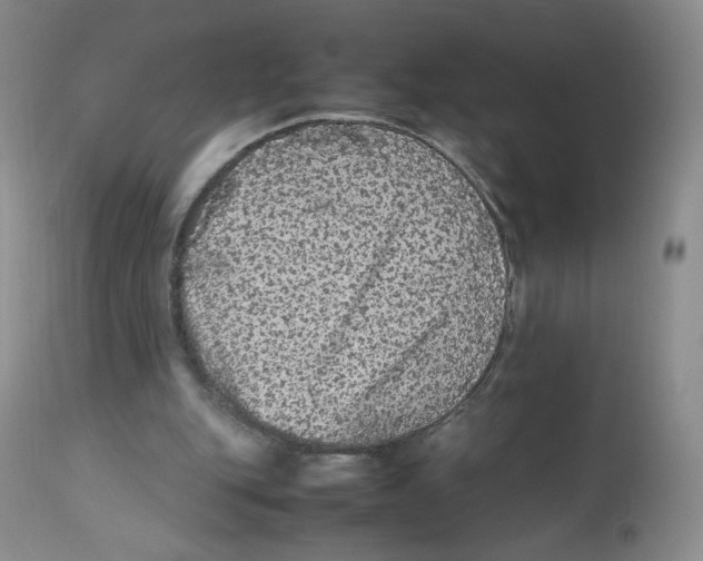 X0000112510151200909141207