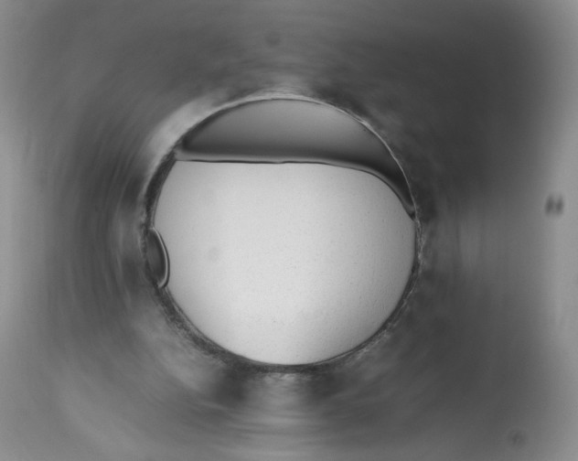 X0000112510152200909141207