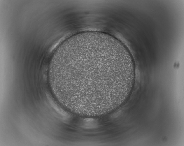 X0000112510153200909141207