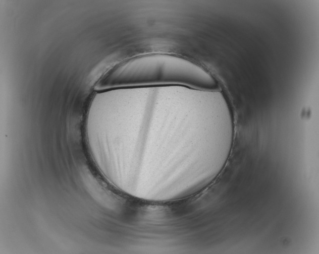 X0000112510154200909141207