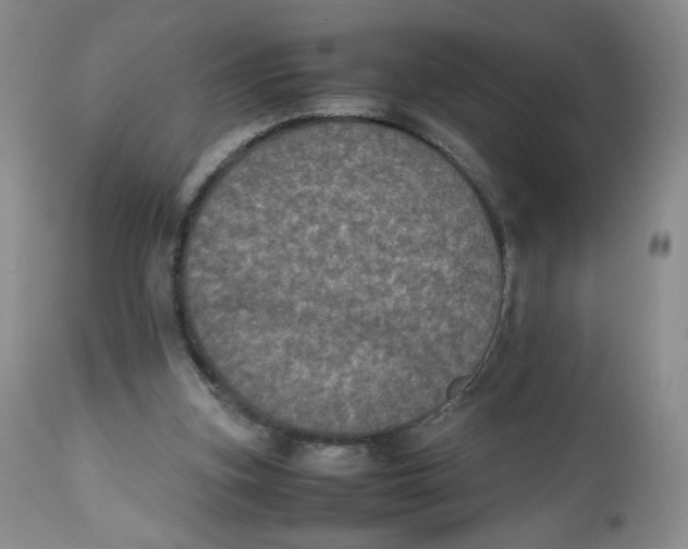 X0000112510155200909141207