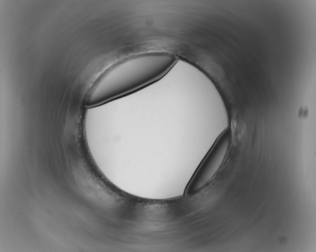 X0000112510156200909141207