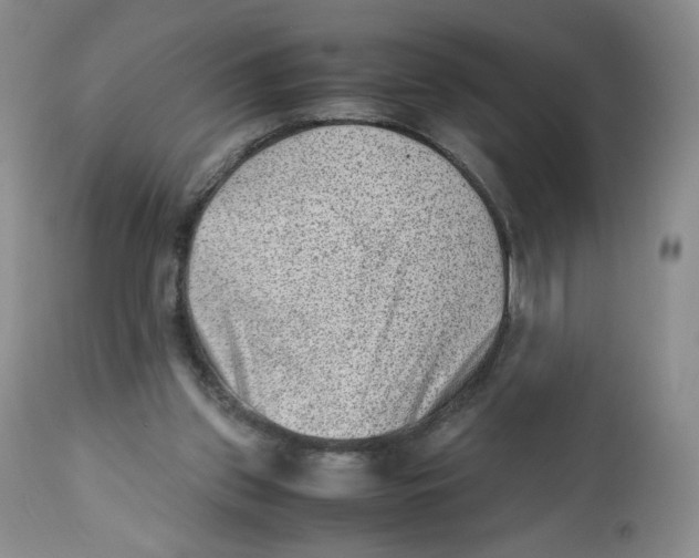 X0000112510157200909141207