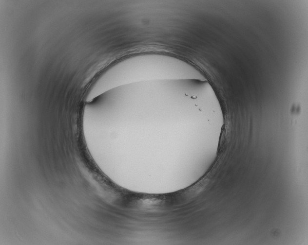 X0000112510158200909141207