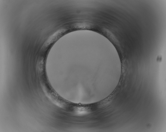 X0000112510163200909141208