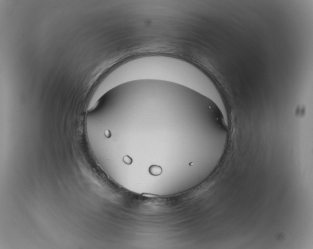 X0000112510164200909141208