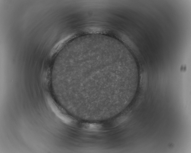 X0000112510165200909141208