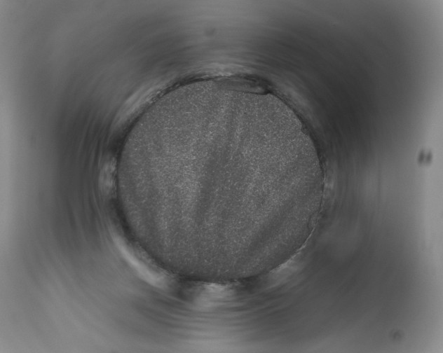 X0000112510166200909141208