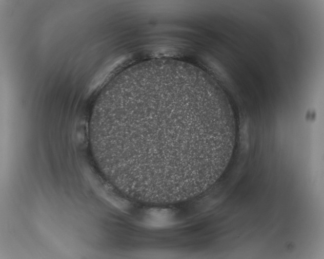 X0000112510169200909141208