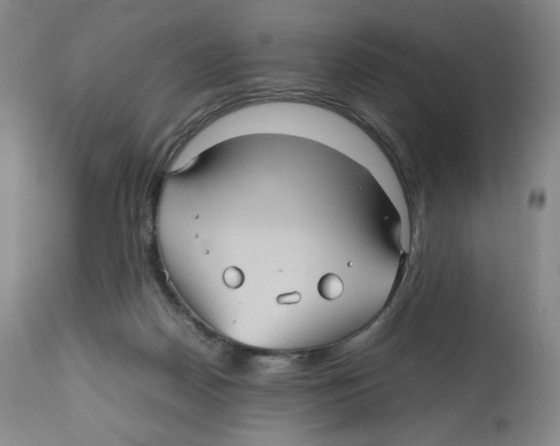 X0000112510170200909141208