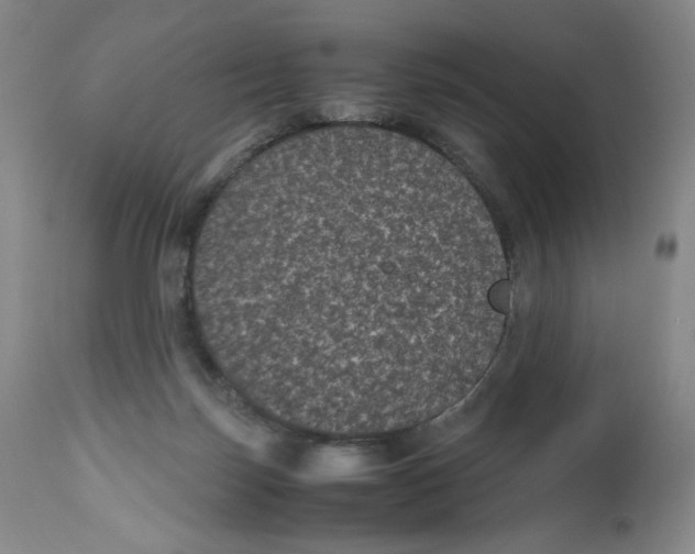 X0000112510171200909141208