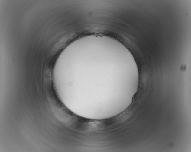 X0000112510172200909141208