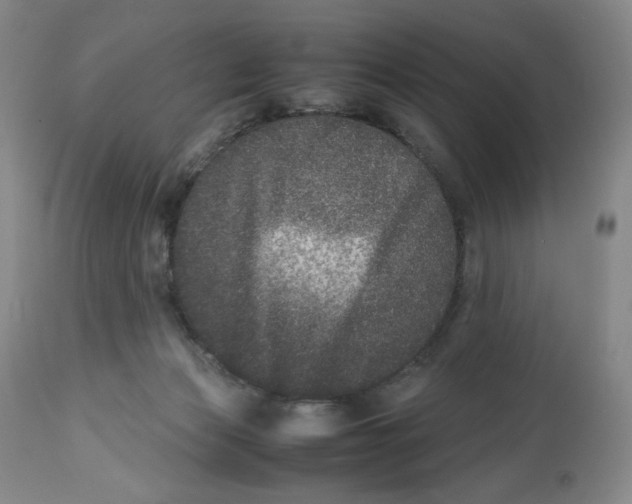 X0000112510173200909141208