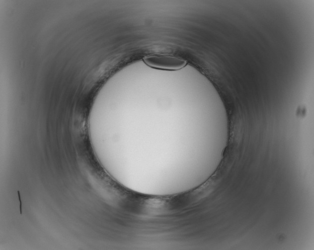 X0000112510176200909141208