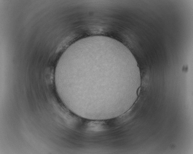 X0000112510179200909141208