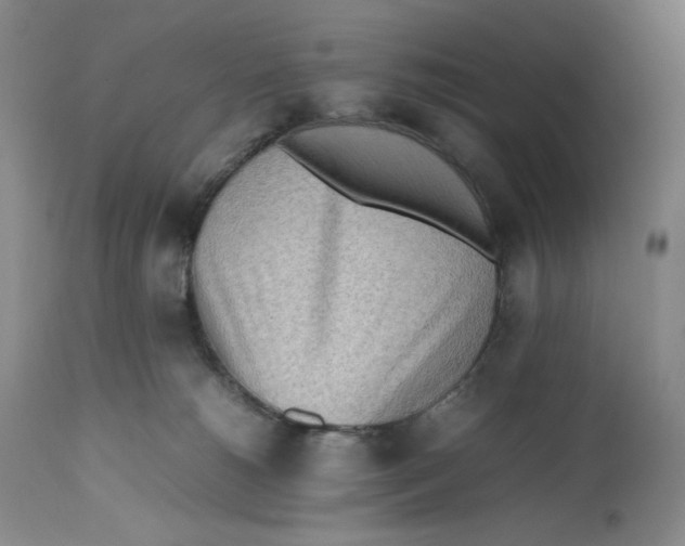 X0000112510180200909141208