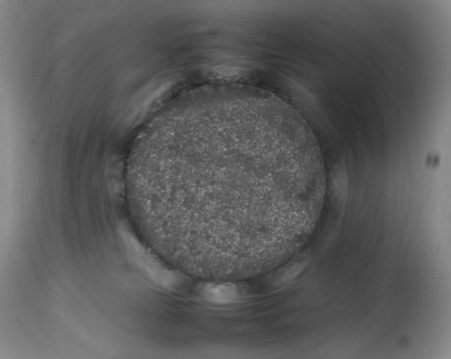 X0000112510181200909141208