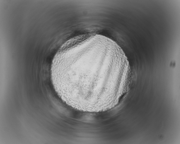 X0000112510182200909141208