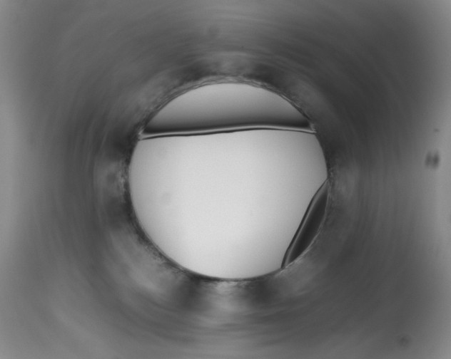 X0000112510184200909141208