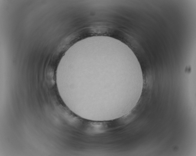 X0000112510187200909141208