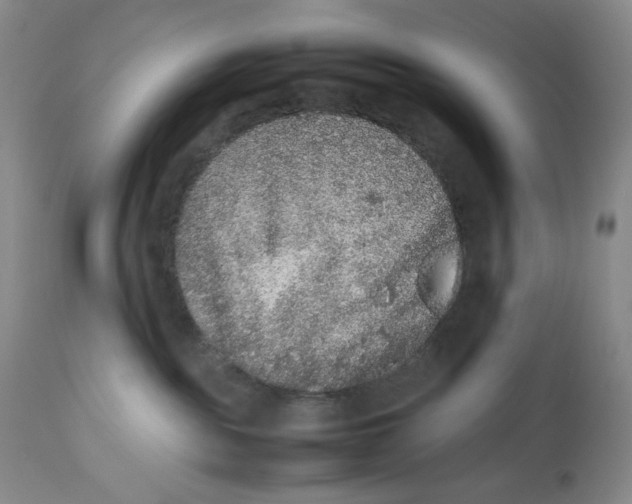 X0000112510189200909141208