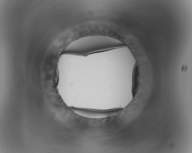 X0000112510192200909141208