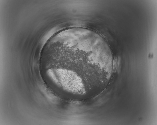 X0000112510195200909141207