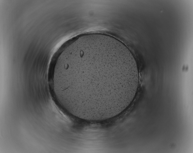 X0000112510196200909141207