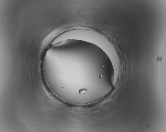 X0000112510197200909141207