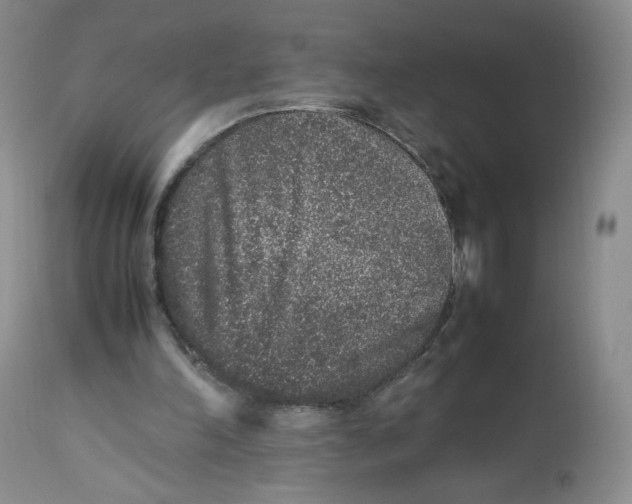 X0000112510198200909141207