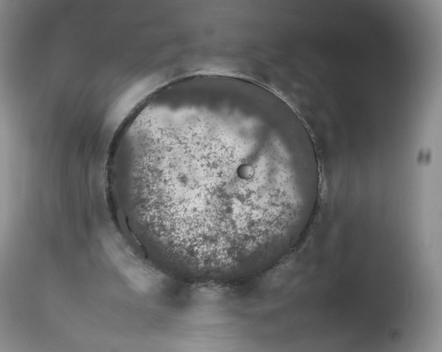 X0000112510199200909141207