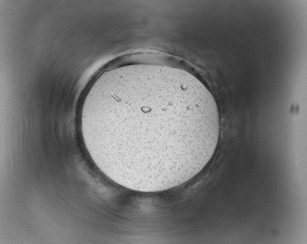 X0000112510200200909141207