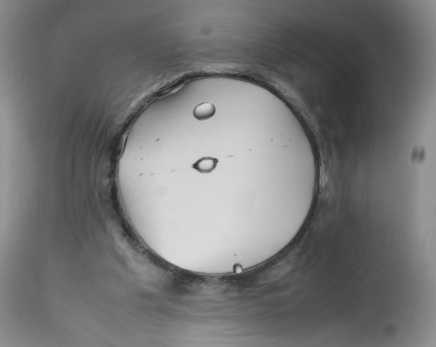 X0000112510201200909141207