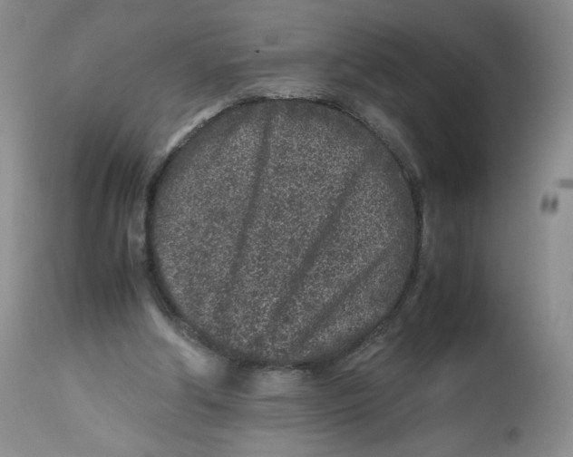 X0000112510202200909141207