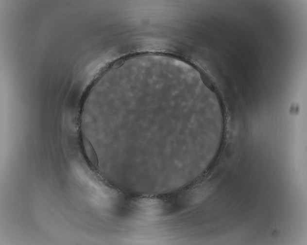 X0000112510203200909141207