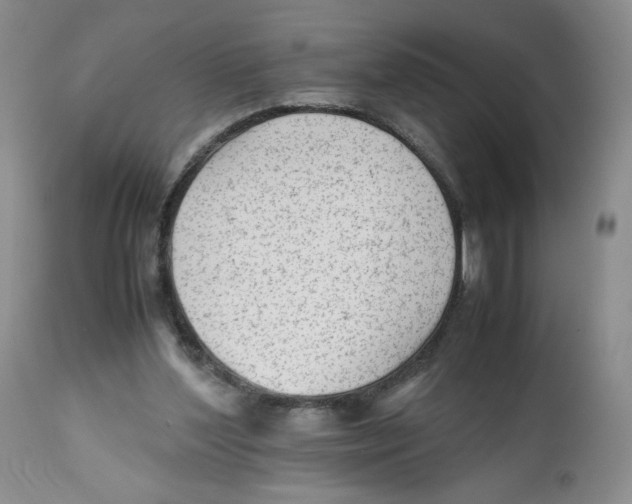 X0000112510204200909141207