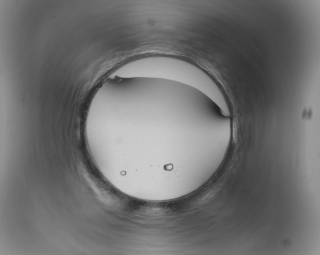 X0000112510205200909141207