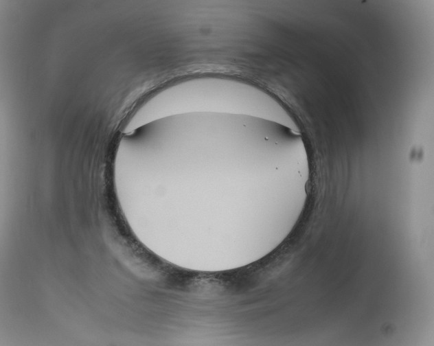 X0000112510207200909141207