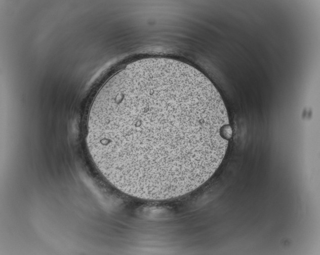 X0000112510208200909141207